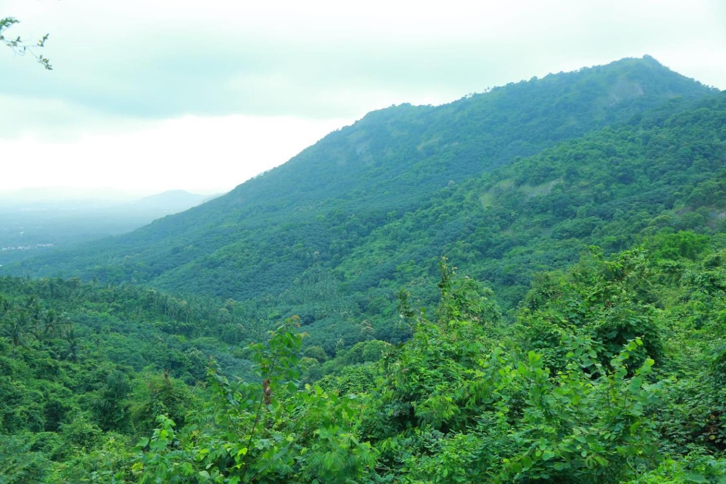 Whiteflower Mountain Resort Perintalmanna Екстериор снимка